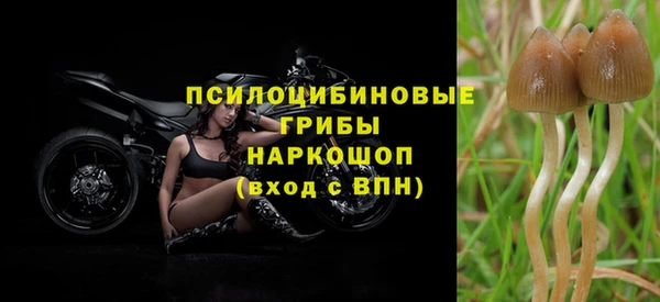 а пвп мука Богородицк