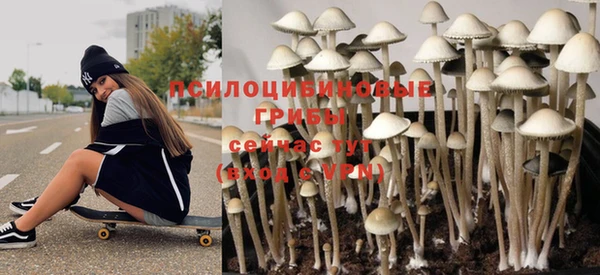 а пвп мука Богородицк