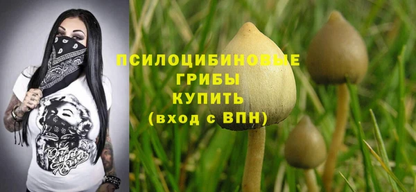 спиды Бугульма